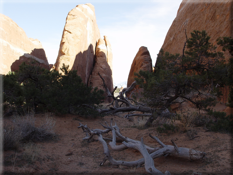 foto Arches Park